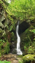 Liščí Creek